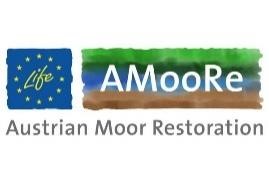 AMooRe